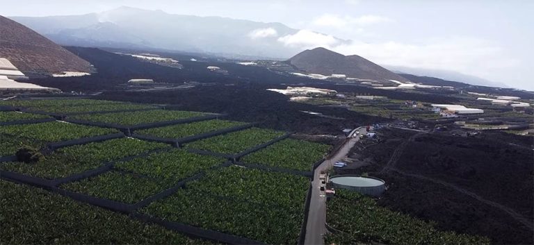 volcan platanos